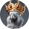 juanma_bets88